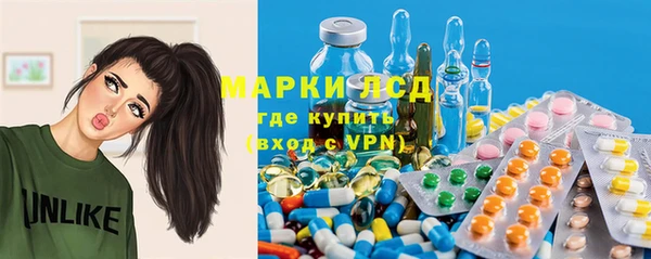 PSILOCYBIN Новозыбков
